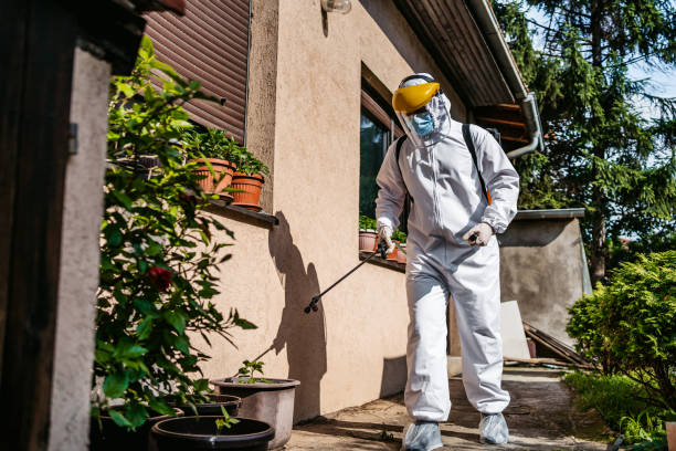 Best Exterminator Services  in Greenfield, IA