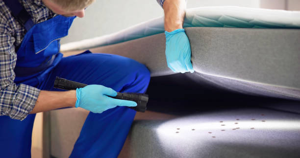Trusted Greenfield, IA Pest Control Experts