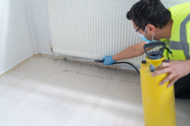 Best Local Pest Control Services  in Greenfield, IA