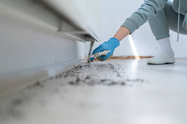Best Mosquito Control Services  in Greenfield, IA